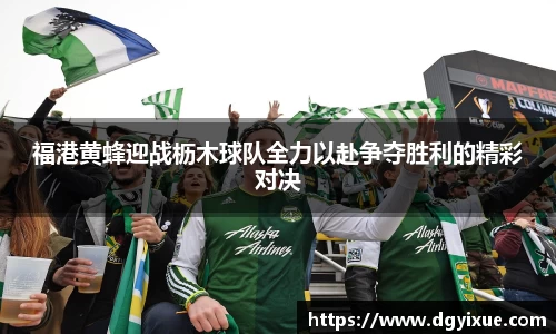 福港黄蜂迎战枥木球队全力以赴争夺胜利的精彩对决